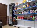 Здания · 316 м² за 163.2 млн ₸ в Алматы, Наурызбайский р-н — фото 18