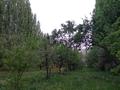 Жер телімі · 25 сотық, Балдыберек ауылы 25 — Даңғарашал, бағасы: 17 млн ₸ в Ленгере — фото 4