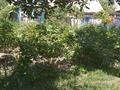 Отдельный дом · 2 комнаты · 20 м² · 6 сот., Бау бакша 30 за 10 млн ₸ в  — фото 9
