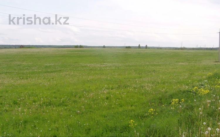 Участок · 1.5 га, Алматинская обл. за 40 млн 〒 — фото 2