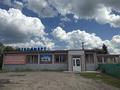 Магазины и бутики · 1180 м² за 98 млн ₸ в Щучинске