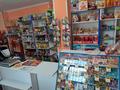 Магазины и бутики • 250 м² за 20 млн 〒 в Шарбакты — фото 3