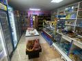 Магазины и бутики · 41 м² за 25 млн ₸ в Семее — фото 4