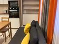 3-комнатная квартира · 67 м² · 12/12 этаж, Тулебаева 49/1 — Гоголя за 40 000 ₸ в Алматы, Медеуский р-н — фото 34