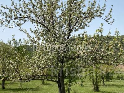 Участок · 35 соток, Ленгер за 35 млн 〒