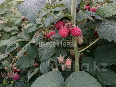 Дача · 2 комнаты · 40 м² · 12 сот., Сад Реченька за 7 млн 〒 в Павлодаре