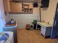 Часть дома · 3 комнаты · 67.4 м² · 1.6 сот., Мичурина за 5.8 млн ₸ в Семее — фото 8