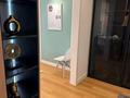 2-комнатная квартира · 43.5 м², Муратбаева 46 — Макатаева Муратбаева за 40.5 млн ₸ в Алматы, Алмалинский р-н