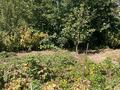 Отдельный дом · 5 комнат · 172.9 м², Макаренко 15 — Ниже ул Садовой за 60 млн ₸ в Талгаре — фото 36