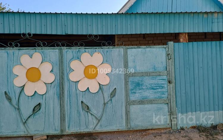 Дача · 3 комнаты · 50 м² · 8 сот., С/О "Бумажник" 23 — Трассы Кызылорда-Теренозек за 3 млн 〒 — фото 2