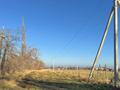 Жер телімі · 5 сотық, Амангельды, бағасы: ~ 14.2 млн ₸ — фото 9