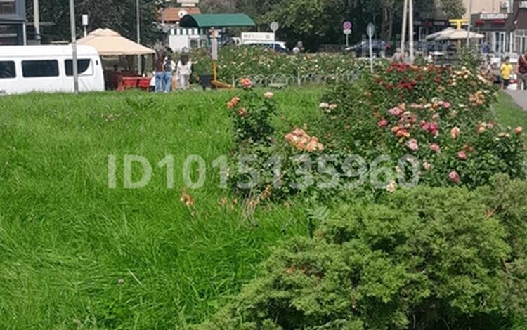 3-бөлмелі пәтер · 65 м² · 3/5 қабат, Тастақ-1 ш/а. 2 — То, бағасы: 300 000 ₸ в Алматы, Ауэзовский р-н — фото 2
