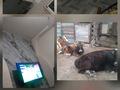 Дача · 3 комнаты · 64 м² · 12 сот., Қалдыбай 491 — Рядом зона отдыха 8 Озёр за 30 млн ₸ в Алматы — фото 2