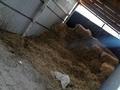 Дача · 3 комнаты · 64 м² · 12 сот., Қалдыбай 491 — Рядом зона отдыха 8 Озёр за 30 млн ₸ в Алматы — фото 9