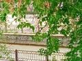 2-комнатный дом помесячно, 38 м², Жандосова — Юбилейная за 185 000 〒 в Алматы, Ауэзовский р-н — фото 17