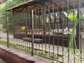 Отдельный дом · 5 комнат · 270 м², мкр Думан-1 43 за 1.2 млн ₸ в Алматы, Медеуский р-н — фото 6