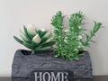 1-бөлмелі пәтер · 50 м² · 2/10 қабат, Сейфуллина — Кассина, бағасы: 17 000 ₸ в Алматы, Турксибский р-н — фото 38