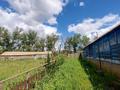 Отдельный дом · 4 комнаты · 65.48 м² · 14.3 сот., Достык 3 за 5 млн ₸ в Янайкино — фото 7
