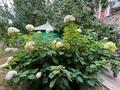 Жеке үй · 6 бөлме · 220 м² · 18 жүзд., Урунтаева, бағасы: 69 млн ₸ в Усть-Каменогорске — фото 54