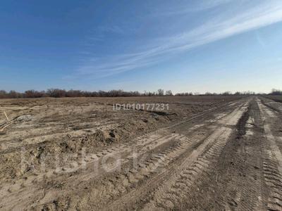 Участок · 1.7 га, Участок 237 за 120 млн ₸ в Жаналыке