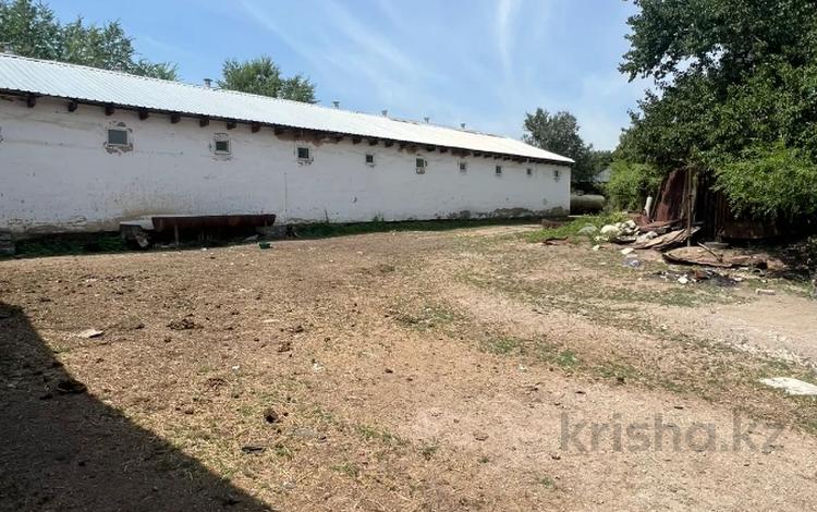 Отдельный дом · 4 комнаты · 100 м² · 24 сот., Ак терек 49 за 41 млн ₸ в Кыргауылдах — фото 16