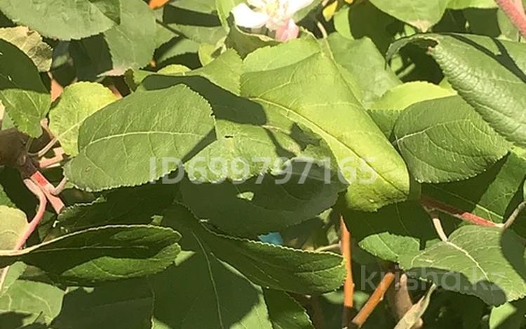 Жеке үй · 4 бөлме · 100 м² · 5.8 жүзд., Айгүл ш/а — Чуйкова 100, бағасы: ~ 20 млн ₸ в Уральске, мкр Айгуль — фото 3
