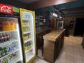Кинорум · 240 м² за 5 млн ₸ в Алматы, Медеуский р-н — фото 15