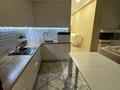 2-комнатная квартира · 80 м² · 12/13 этаж, Керей и Жанибек хандар 14/2 — Сауран за 400 000 ₸ в Астане, Есильский р-н — фото 9