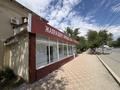 Еркін · 200 м², бағасы: 78 млн ₸ в Атырау — фото 10