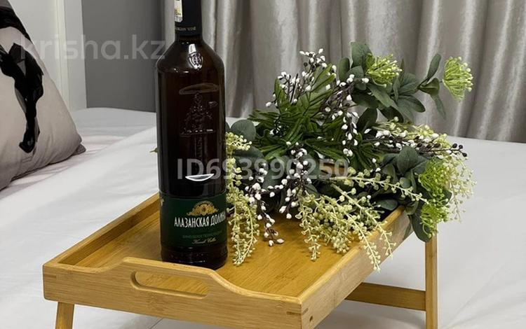 1-бөлмелі пәтер · 45 м² · 9/12 қабат, Ақбұлақ ш/а., 1-я улица 43, бағасы: 2 000 ₸ в Алматы, Алатауский р-н — фото 20