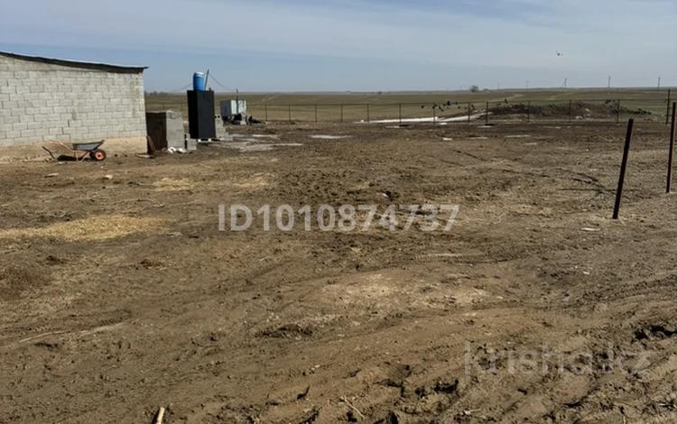 Сельское хозяйство · 1000 м² за 85 млн 〒 в Караой — фото 2