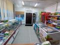 Дүкендер мен бутиктер · 45 м², бағасы: 19 млн 〒 в Степногорске — фото 3