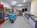Дүкендер мен бутиктер · 45 м², бағасы: 19 млн 〒 в Степногорске — фото 4