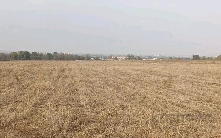 Участок · 5 соток, Жанатурмыс за 26 млн 〒 — фото 4