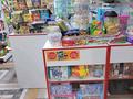 Магазины и бутики · 85 м² за 500 000 ₸ в Алматы, Наурызбайский р-н — фото 10