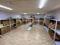 Свободное назначение, офисы, склады · 30 м² за 150 000 ₸ в Астане, Алматы р-н — фото 4