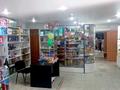 Магазины и бутики • 123 м² за 58 млн 〒 в Костанае — фото 7
