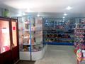 Магазины и бутики • 123 м² за 58 млн 〒 в Костанае — фото 8