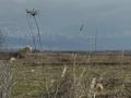 Участок · 4 га, Ақши за 11 млн ₸ в Байдибек би — фото 5