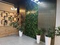 Қоғамдық тамақтану орны · 814 м², бағасы: 450 млн ₸ в  — фото 4