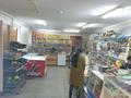 Магазины и бутики • 120 м² за 14 млн 〒 в Топаре — фото 2