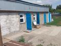 Отдельный дом · 2 комнаты · 58.3 м² · 20 сот., Луговая 18 — Поселок грэс за 10 млн ₸ в Аксу