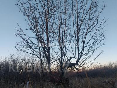 Участок · 24 сотки, 13 ул 20,22,24,26,28 — ПКСТ Автомобилист за 13.5 млн ₸ в Затобольске (Тобыле)