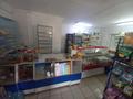 Магазины и бутики • 55 м² за 24.9 млн 〒 в Астане, Сарыарка р-н — фото 8
