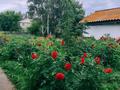 Жеке үй · 4 бөлме · 60 м² · 8 жүзд., 8 наурыз 71 — Женис, бағасы: 16.5 млн ₸ в Шагалалы — фото 11