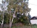 Жеке үй · 4 бөлме · 60 м² · 8 жүзд., 8 наурыз 71 — Женис, бағасы: 16.5 млн ₸ в Шагалалы — фото 15
