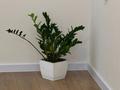 Отдельный дом · 5 комнат · 150 м² · 8 сот., мкр Достык , Арайлы тан 146 — Улица каскелен 2530 за 45 млн ₸ в Шымкенте, Абайский р-н — фото 11