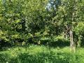 Отдельный дом · 4 комнаты · 110 м² · 11 сот., Байтурсынова за 45 млн ₸ в Каскелене — фото 24