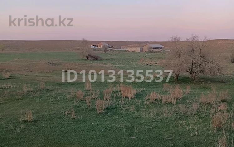 Жер телімі · 10 га, Нұрғиса Тілендиев, бағасы: 19.5 млн ₸ в Нургиса Тлендиеве — фото 2