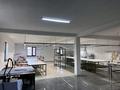 Свободное назначение · 250 м² за 550 000 ₸ в Шымкенте — фото 9